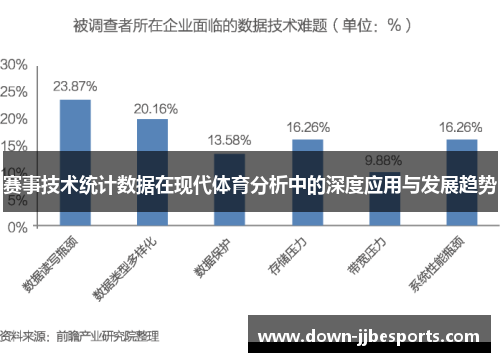 赛事技术统计数据在现代体育分析中的深度应用与发展趋势