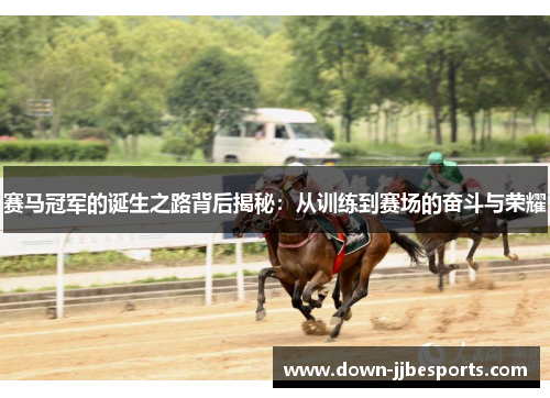 赛马冠军的诞生之路背后揭秘：从训练到赛场的奋斗与荣耀
