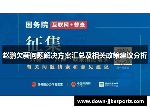 赵鹏欠薪问题解决方案汇总及相关政策建议分析