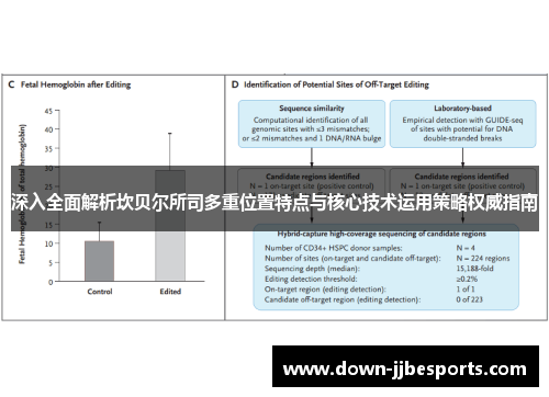 深入全面解析坎贝尔所司多重位置特点与核心技术运用策略权威指南