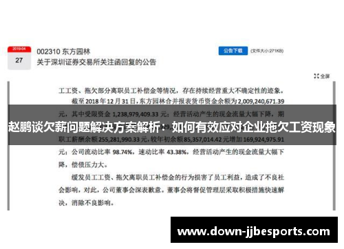 赵鹏谈欠薪问题解决方案解析：如何有效应对企业拖欠工资现象